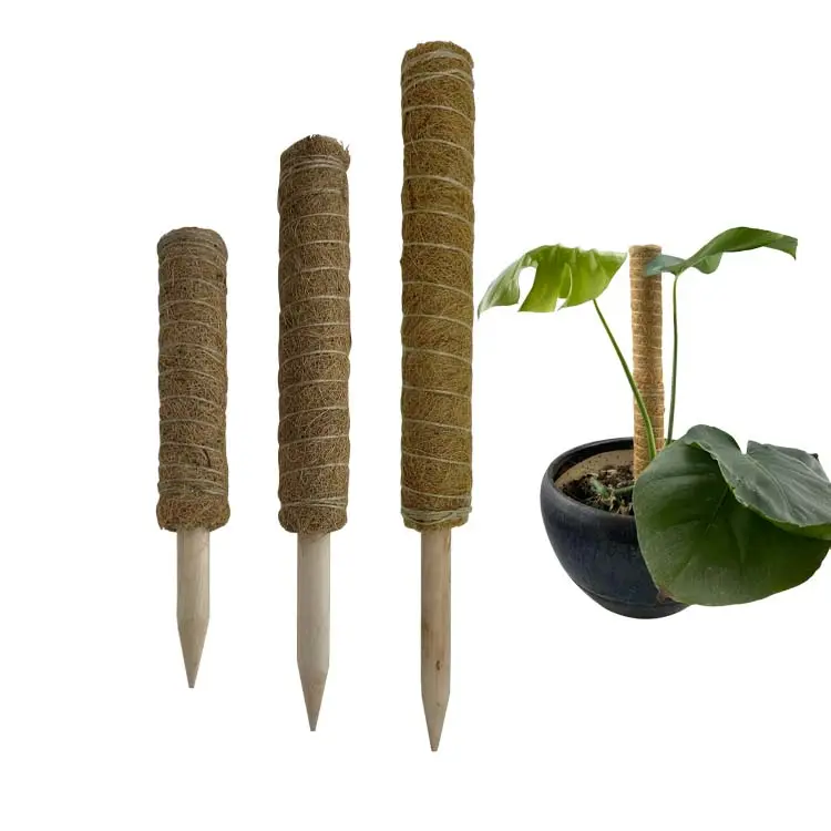 Pau de apoio da planta monstera, pólo de coco, totem, musgo, para suporte, plantas internas, para crescer para cima