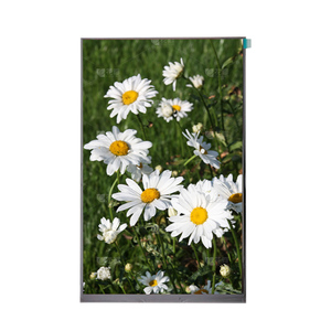 High Resolution 10.1 Inch Touch Screen TFT <strong>LCD</strong> <strong>Display</strong> OEM Screen Panel Competitive Price IPS Type LED LVDS TFT <strong>LCD</strong> Module - Product Image 6