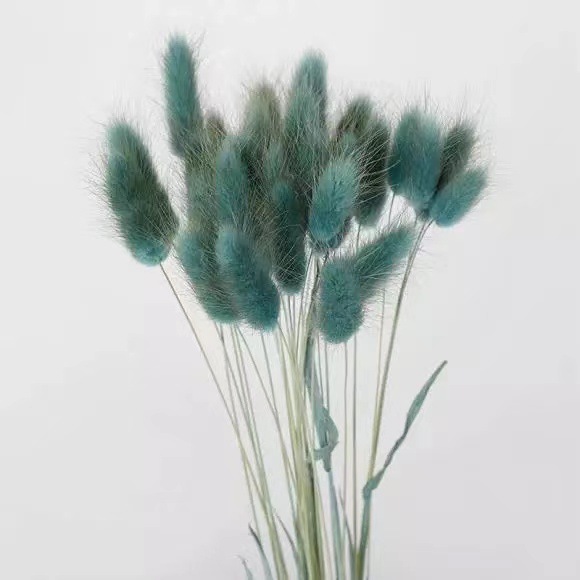 Couleur bleu poussiéreux