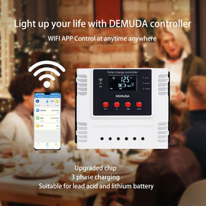 DEMUDA regolatore completamente automatico 10a 20a 30a 40a 50a 60a sistema di alimentazione del pannello solare PWM regolatore di carica solare 12V 24V 48V auto - Product Image 2