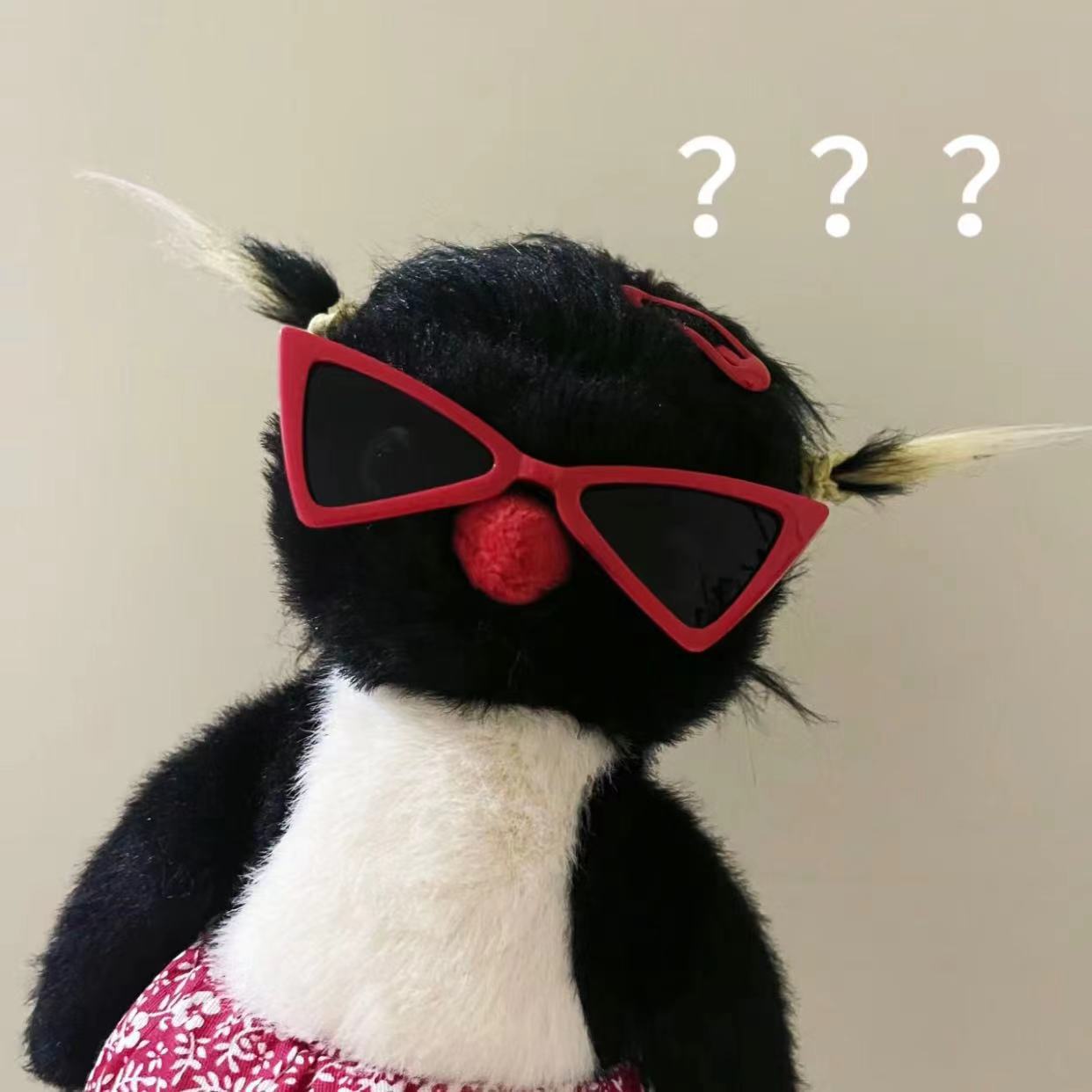 Pingouin frit