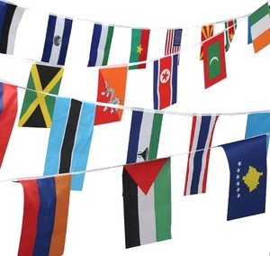 Promoción de entrega rápida Poliéster personalizado País nacional Rectángulo Triángulo Cuerdas colgantes Banderines Bandera - Product Image 4