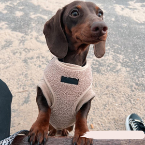 Nouveaux accessoires pour animaux de compagnie Fabricants de harnais pour chien au Royaume-Uni Ensemble de harnais et de laisse pour chien de créateur Harnais personnalisé en gros pour chien - Product Image 5