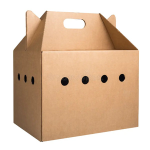 Pet köpek hayvan ambalaj taşıma taşıyıcı kutusu küçük Pet dayanıklı kedi karton nakliye kağit kutu ile özel LOGO - Product Image 1