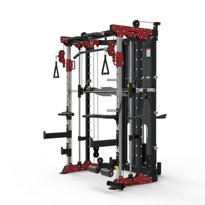 Profesyonel çok fonksiyonlu jimnastik ekipmanları çok istasyonu Squat çerçevesi çapraz eğitmen makinesi hepsi bir arada Smith makinesi DY-6000 - Product Image 6