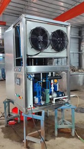 Kg Leistung Hot Sale Eismaschine Würfel Eisluft kühlsystem mit Bitzer Kolben kompressor