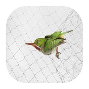 Unsichtbare Netze für Vögel unsichtbare Netze zum Fang von Vögeln