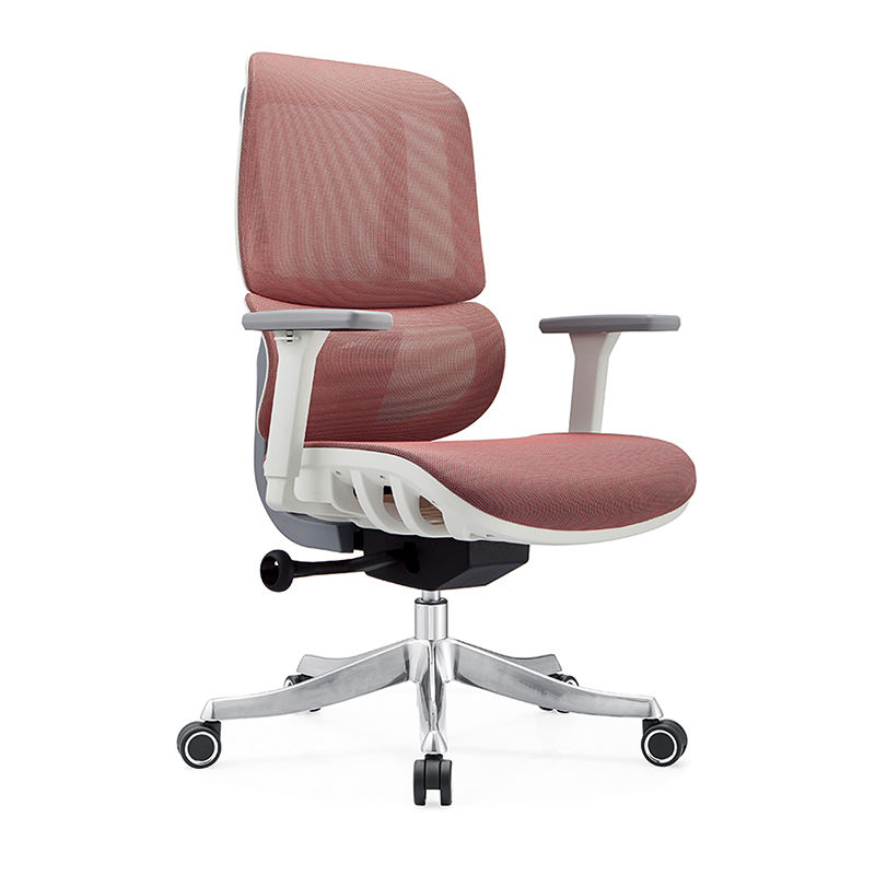 Chairs6สำนักงาน