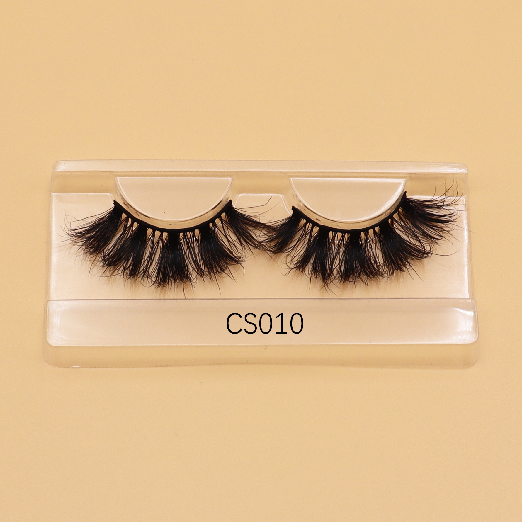 CS10