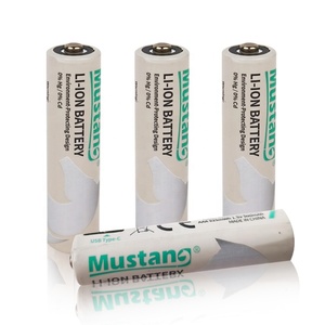 Tip C Li-ion şarj edilebilir pil 1.5V AAA lityum iyon 500mAh tip-c şarj portu AA - Product Image 6
