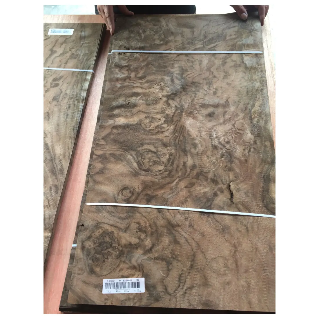 American Black walnut burl impiallacciatura di legno