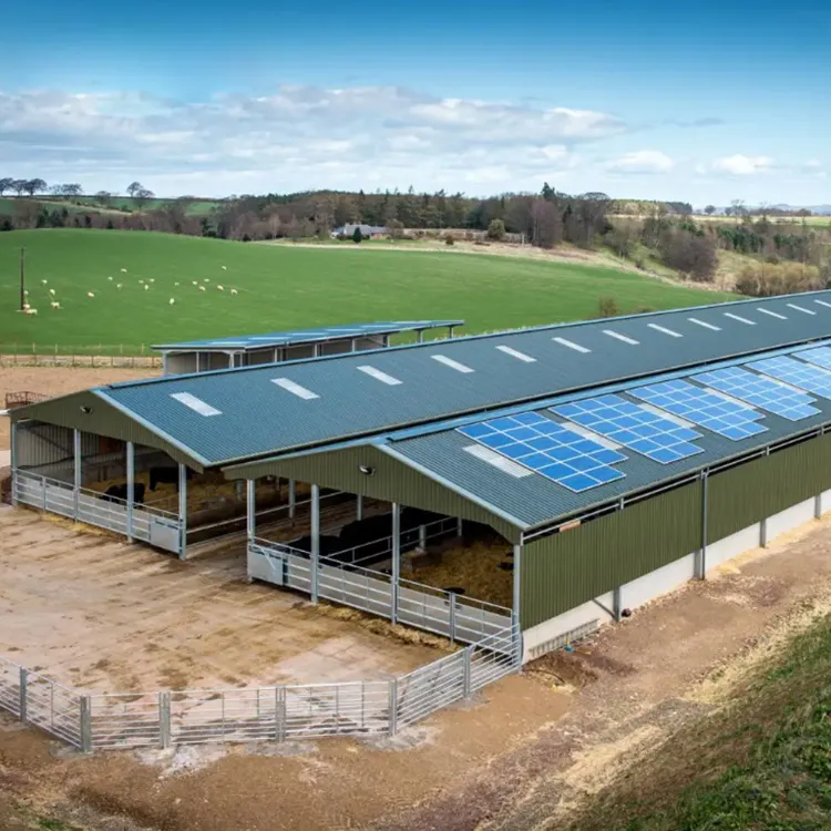 Estrutura aço leve agricultura casa gado fazenda vaca galpão construção