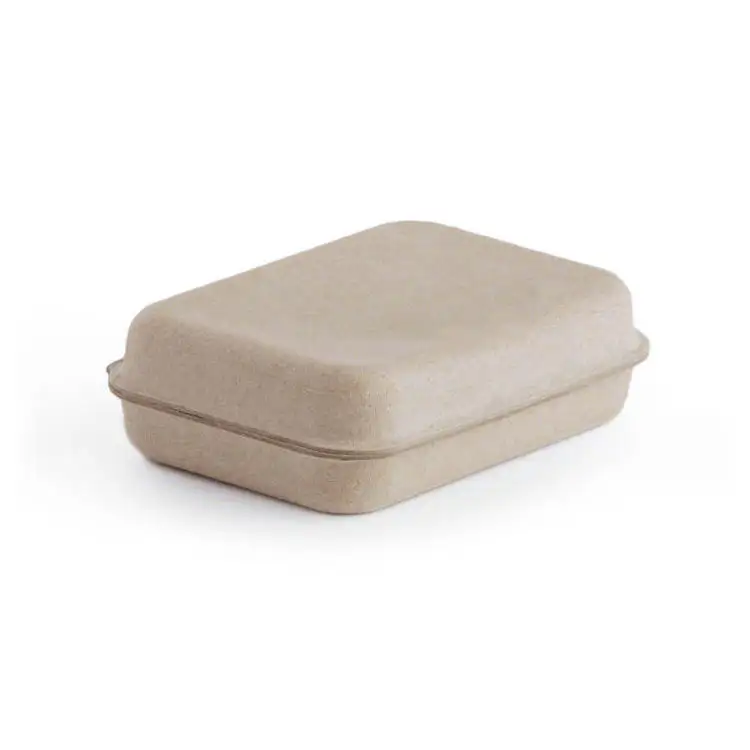 Scatola biodegradabile su ordinazione della polpa di carta di brown della scatola di immagazzinaggio della polpa D123-Biodegradable