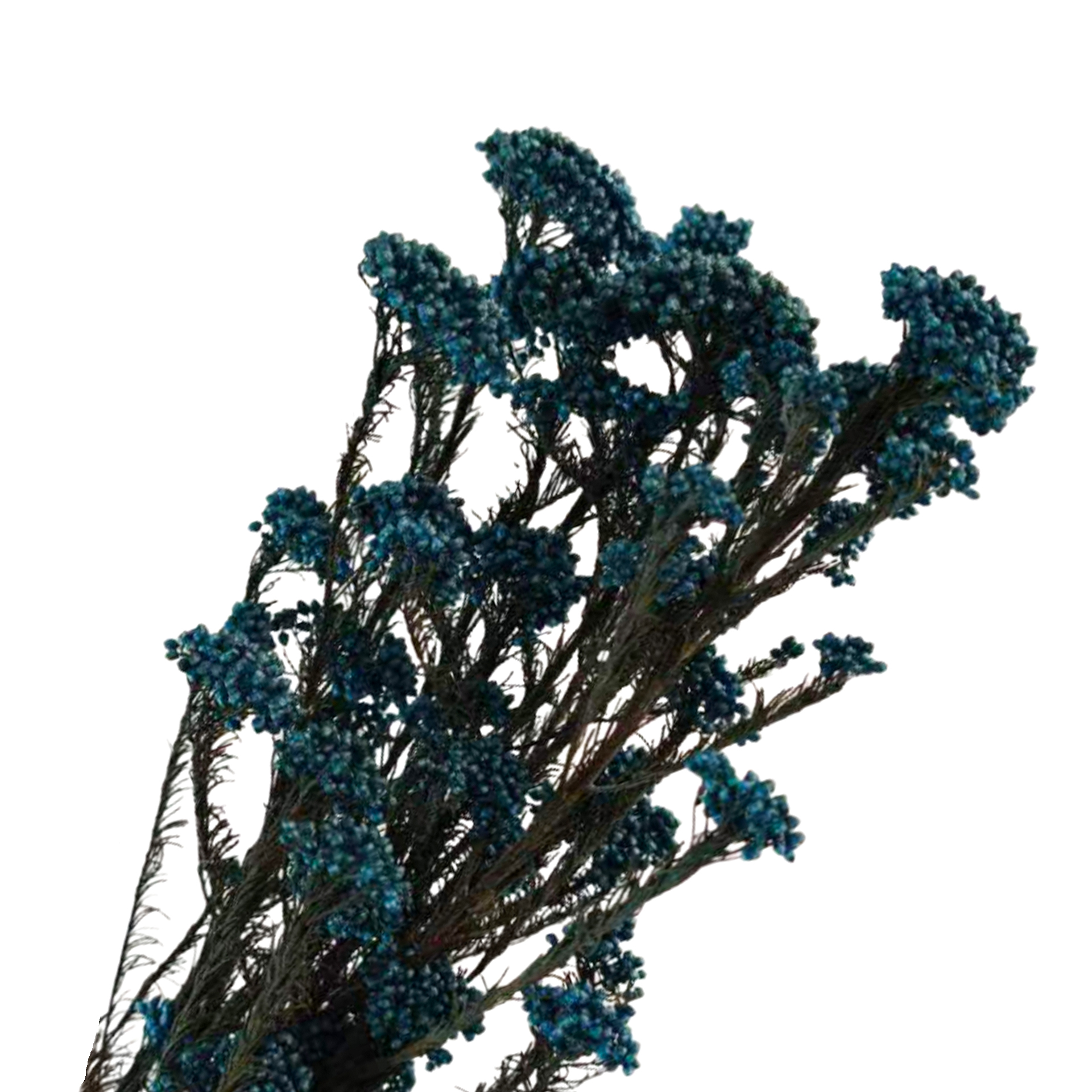 indigo-85g