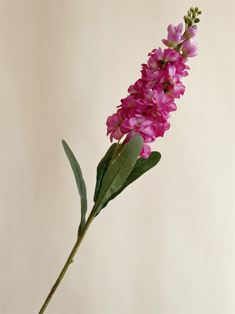 80 cm fuchsia