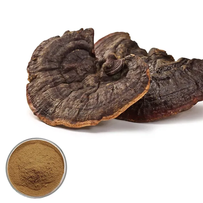 Esporas antienvejecimiento de Ganoderma Lucidum de extracción por solvente