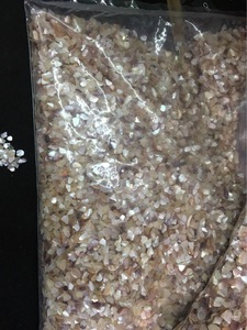 Bào Ngư Bào Ngư Nghiền Tự Nhiên Chip Vỏ Ngọc Trai Để Làm Đồ Trang Sức - Product Image 4