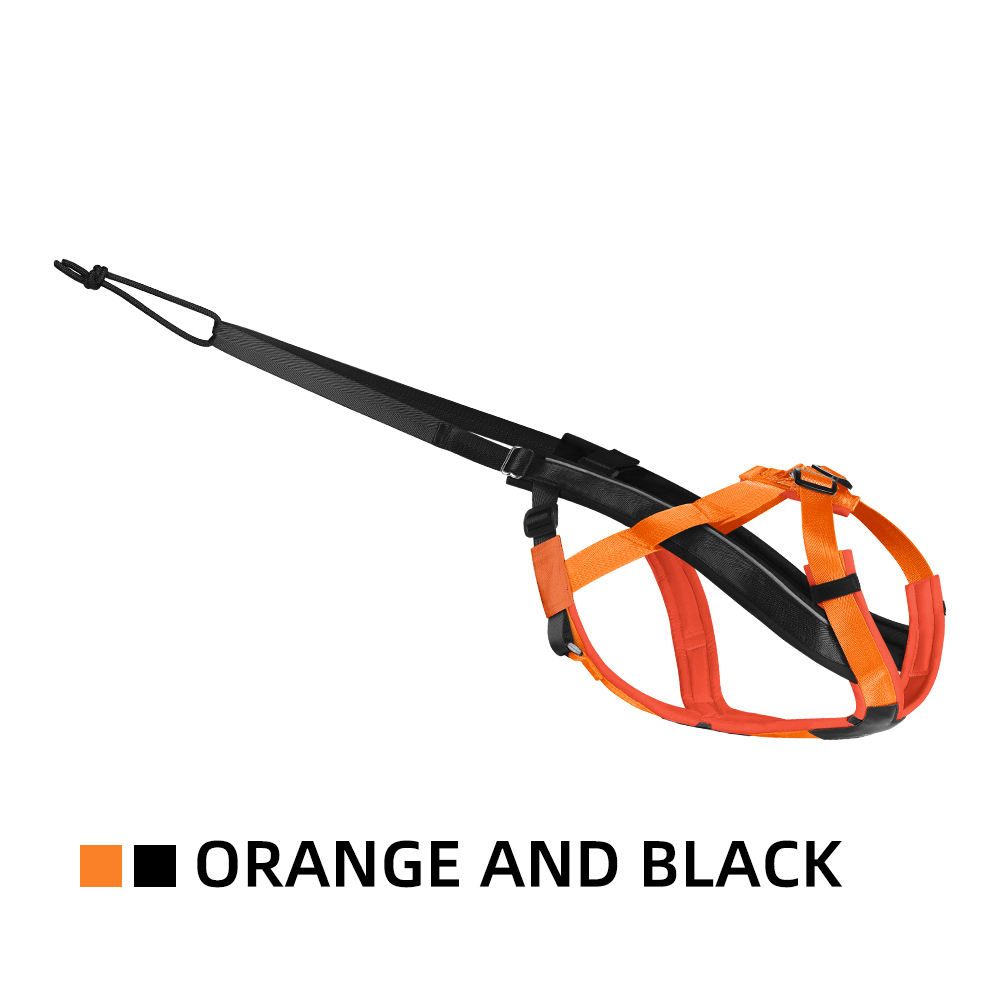 Orange and black