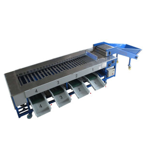 Máquina de Clasificación Industrial de frutas y verduras, clasificador de fruta y patata, máquina de clasificación de cebolla y Kiwi - Product Image 3