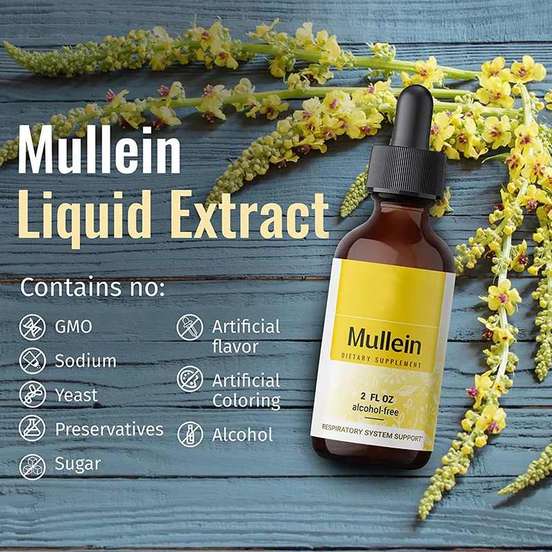 OEM Mullein Leaf Drops Tincture Lung Cleanse Mullein Drop Mullein Leaf Liquid Extract Drops For Respiratory Health