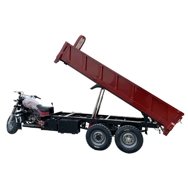 Cina fabbricazione grande carrozza di alta qualità Cargo Gas motorizzato per adulti triciclo da carico triciclo moto cina