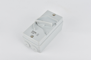 <strong>20</strong> <strong>Amp</strong> 35 <strong>Amp</strong> 63A IP66 Weatherproof Customized Logo Brand Mini Isolator <strong>Switch</strong> - Product Image 5