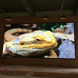 Small-Pitch HD Крытый полноцветный PH3 светодиодный дисплей модуль платы для конференц-экрана рекламы - Product Image 3