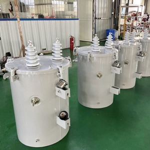Fabrik preis Einphasen-Pol transformator 13,8 kV Eingangs spannung Ausgangs spannung mit Variationen 120V - Product Image 5