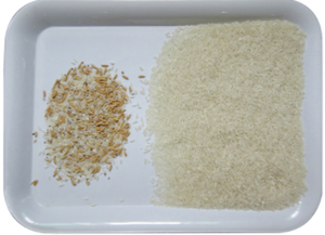 Máquina de clasificación inteligente de colores, clasificador de colores, plástico arroz, alta capacidad - Product Image 5
