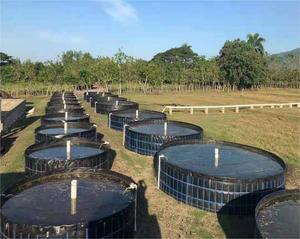Stagni per pesci di geomembrana in HDPE nero da 1mm fodere per serbatoi biofoc pellicola Versatile rivestimento per laghetto Bio-digestore PE EPDM PVC ldpe EVA - Product Image 5