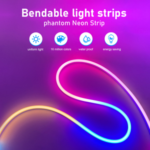 Uzaktan müzik denetleyicisi akıllı APP ile RGB 5m sihirli Neon dize Light12V Neon Led esnek şeritler ışıkları - Product Image 3