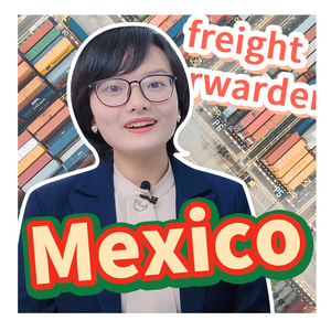集装箱运输代理海关代理免费货运代理从中国到墨西哥的运费 - Product Image 1