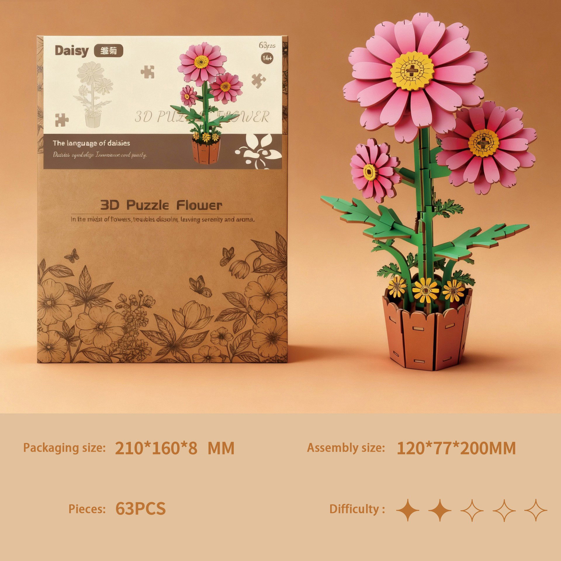 gift box-Daisy