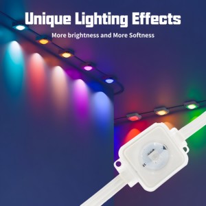 100Ft saçak <span class=keywords><strong>Led</strong></span> Wifi akıllı açık Rgbic kalıcı noel ışıkları açık uzaktan saçak ışık parti tatil Deco