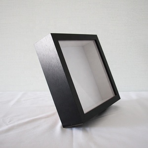 Diy bitki örneği ekran kare 2 inç derin gölge kutu çerçevesi beyaz siyah 4 çerçeve renk 10x10 gölge kutu çerçevesi - Product Image 3