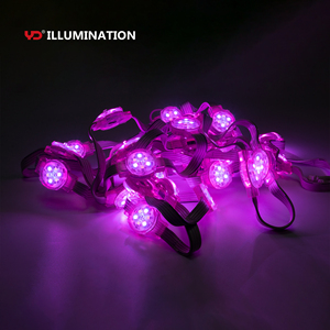 RGB color dmx512 impermeabile ignifugo ik10 resistenza salata di alta qualità led sorgente luminosa per decorare l'edilizia - Product Image 1