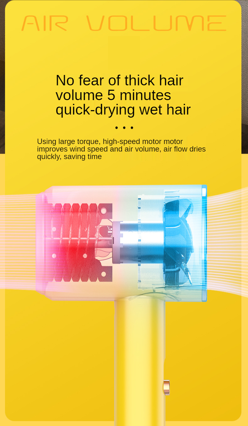 Hot Selling 800W Salon Professional DC Motor Concentrator/Ionic and Induction Function Professional blow Hair dryer