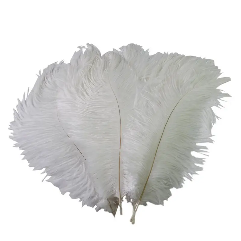 Top Excellent Quality Ostrich Feathers Gold Ostrich Feather Colored Ostrich Feather For Wedding And Home Decoration