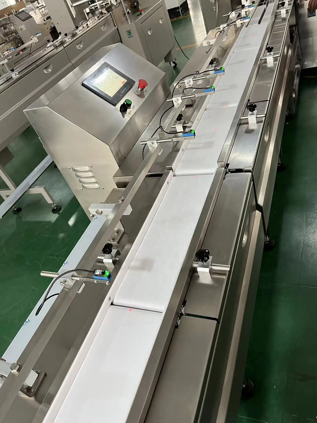 Automatische gefrorene einzelne einzeln verpackte Rindfleisch pasteten Burger Patty horizontale Kissen Typ Flow Packing Machine