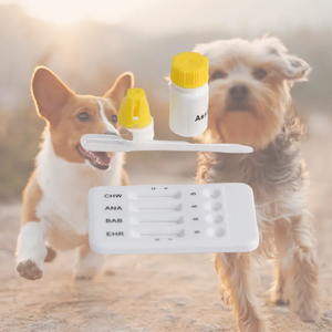 獣医用の高速テスト結果EHR-ANA-BABテストキット - Product Image 5