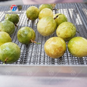 自动棕榈日期清洗抛光干燥分选生产线带气泡清洗机 - Product Image 6