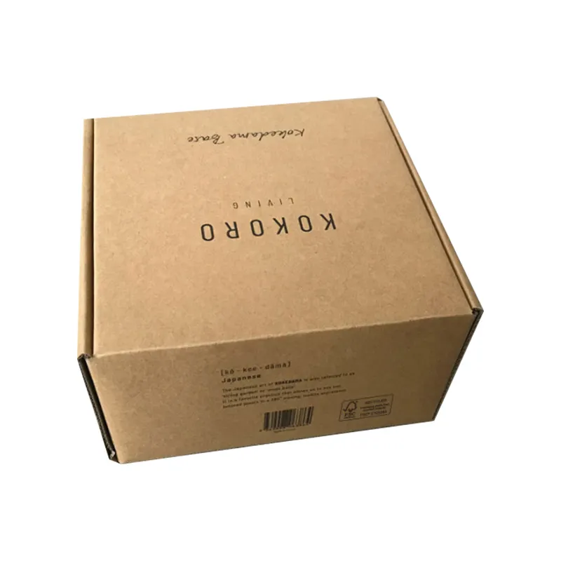 Boîtes d'emballage en carton ondulé Kraft à impression personnalisée pour Lotion corporelle et shampoing