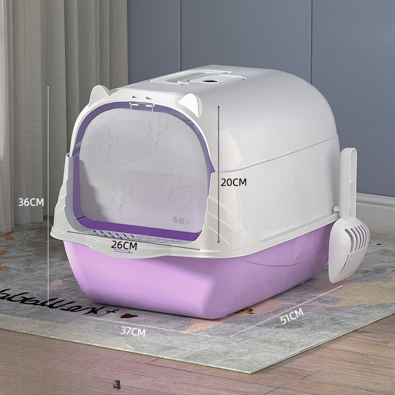 Pourpre