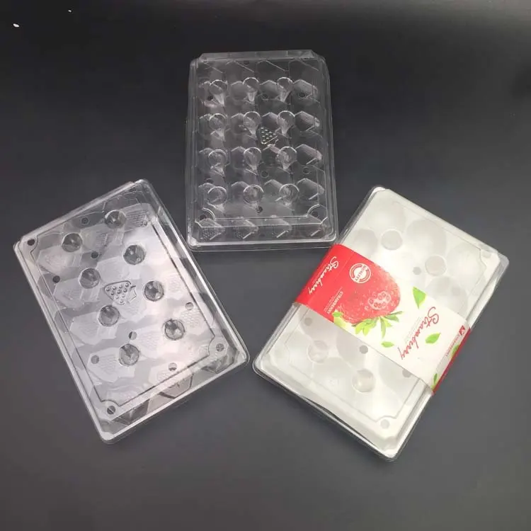 Confezione monouso a conchiglia PET PP PE contenitore per alimenti in plastica Blister Box contenitore per frutta trasparente