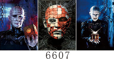 6607