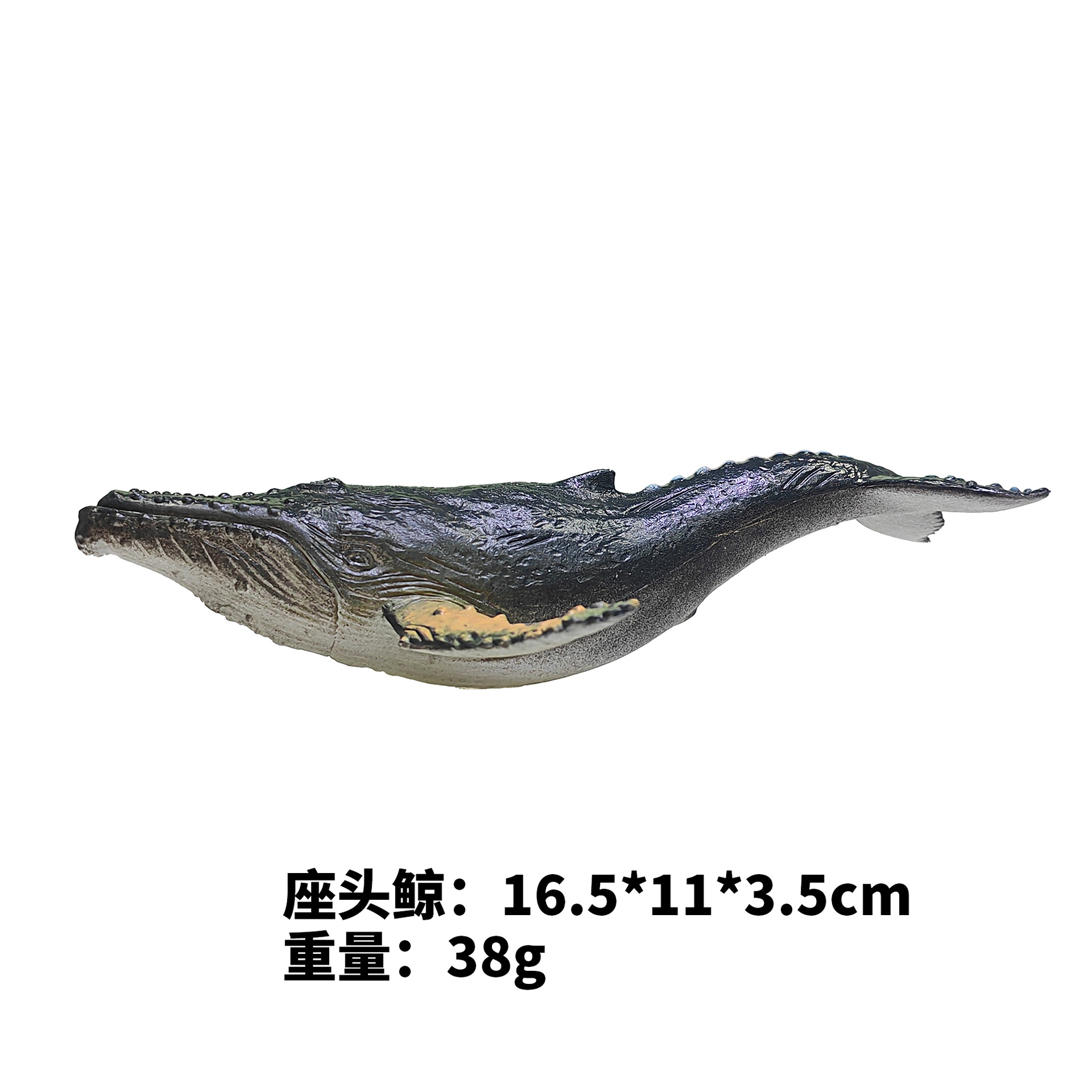 7-inch Sperm Whale