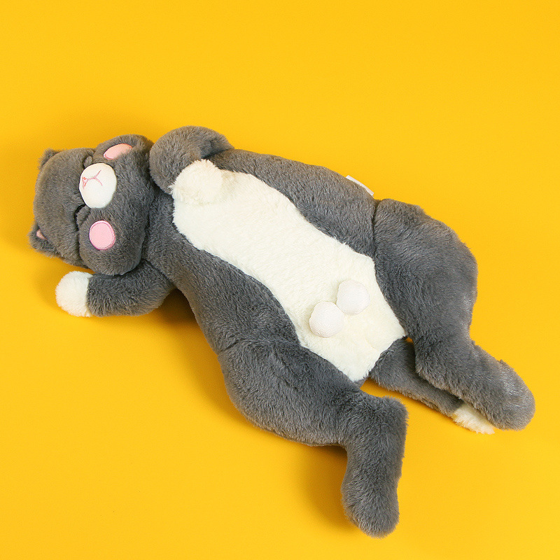 Black cat-sleepy cat