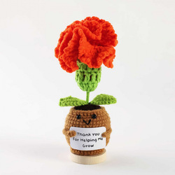 Carnation orange thank you