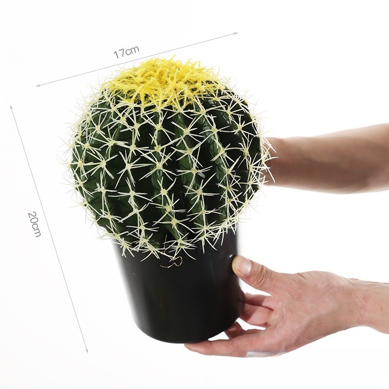 Small yellow prickly cactus with pot