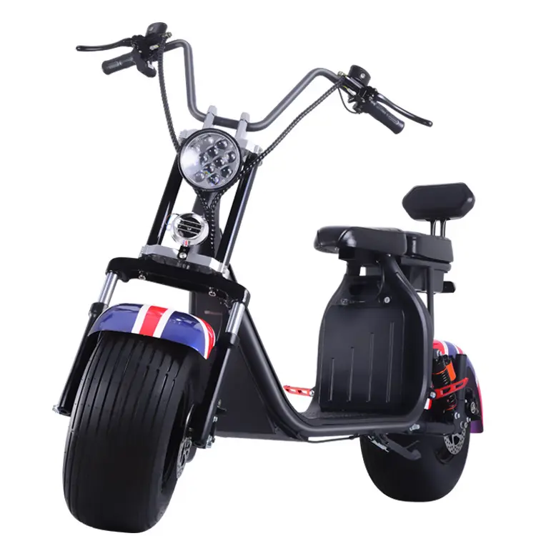 EWG Citycoco tragbares Anti-Rutsch-Fußpad mit Batterie für Erwachsene Doppelstab-Modell männlich Harleyment LED Zweirad-Elektro-Motorrad